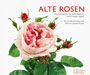 Alte Rosen